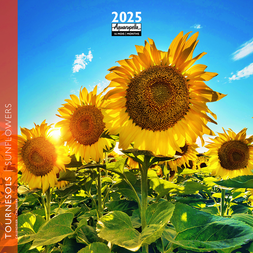 Visuel 1 du produit Calendrier 2025 tournesol coloris multicolore Aquarupella - 16,5 x 16,5 cm