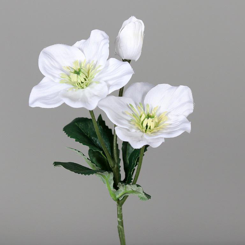 Visuel 1 du produit Branche artificielle d’Hellébore blanc 3 fleurs – 34 cm