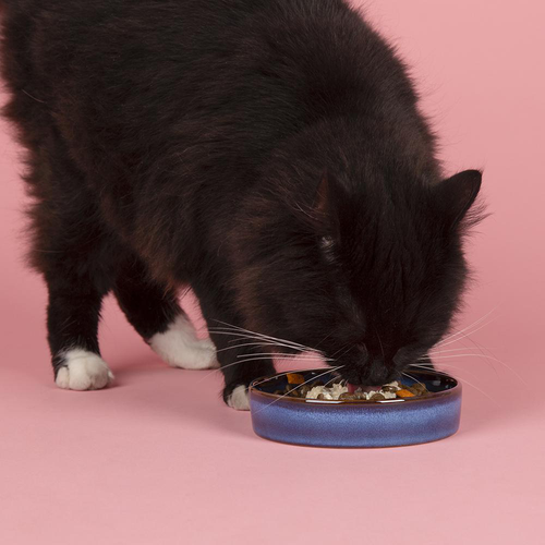 Visuel 3 du produit Gamelle pour chat en grès coloris bleu nuit Reactive Glaze Scruffs - 13 x 13 x 3 cm