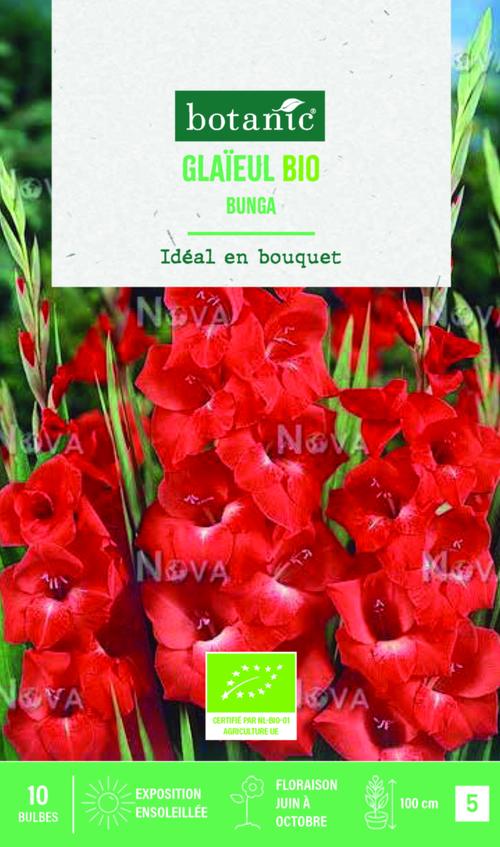 Visuel 1 du produit Bulbes de fleurs Glaïeul grandes fleurs Bunga bio botanic® - 10 bulbes
