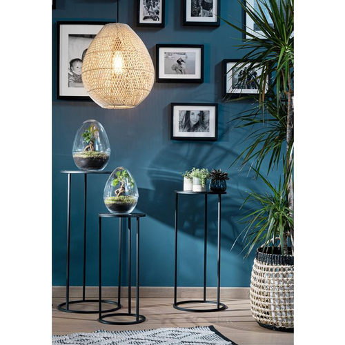 Visuel 4 du produit Table de service Quinty en métal noir T2 Edelman Hollande - Ø 27 x 60 cm