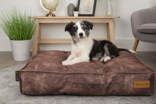 Visuel 3 du produit Coussin pour chien marron Kensington – Taille L