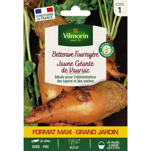 Visuel 1 du produit Sachet de graines de betterave fourragère jaune géante de Vauriac format économique