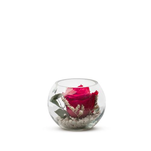 Visuel 1 du produit Verrine de végétaux stabilisés rose rouge et eucalyptus Naturalys Venezia 11 - Ø 11 x H 11 cm