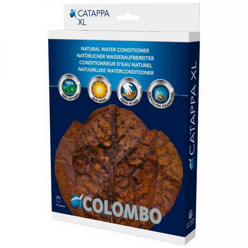Visuel 1 du produit Feuilles de badamier x10 - Catappa XL - COLOMBO