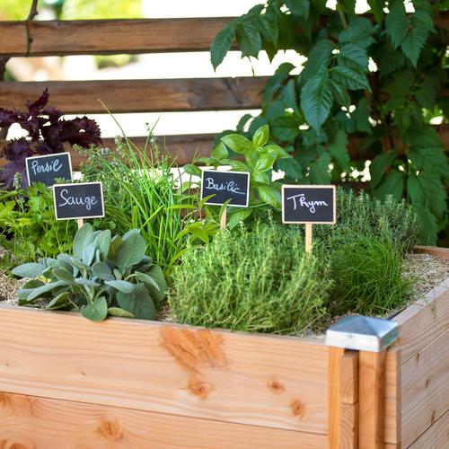 Visuel 4 du produit Etiquettes à planter en bois – 14 cm