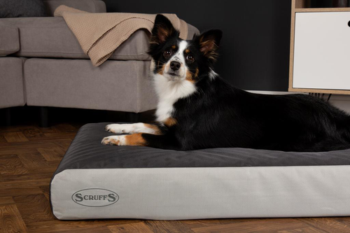 Visuel 4 du produit Couchage orthopédique pour chien coloris gris Scruffs ArmourDillo Orthopaedic - Taille XL 116 x 75 x 15 cm