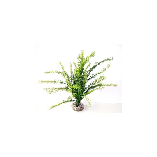 Visuel 1 du produit Rotala verte en plastique 30 cm