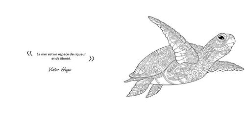 Visuel 3 du produit Livre "Pays des fleurs" aux Éditions Artemis