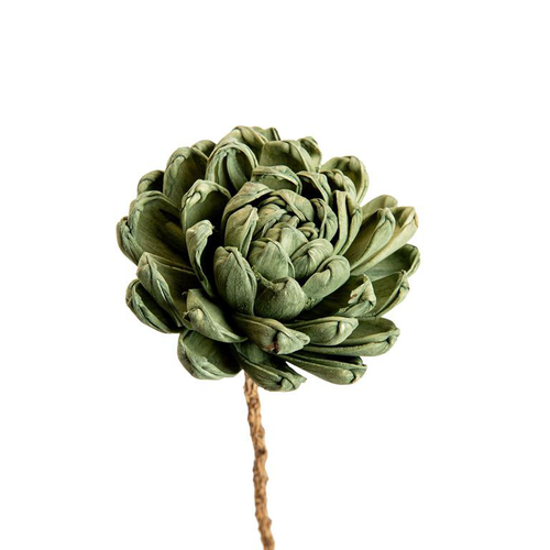 Visuel 4 du produit Fleur en bois de Sola et coco forme Dalhia - Ø 8 x H 50 cm