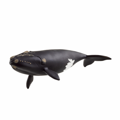 Visuel 1 du produit Figurine Schleich® Baleine de l'Atlantique - 19,5 x 9,7 x 4,5 cm
