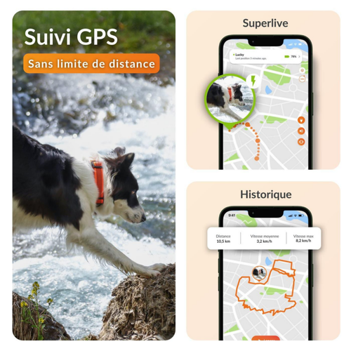 Visuel 3 du produit Collier GPS pour chien coloris noir Weenect XT
