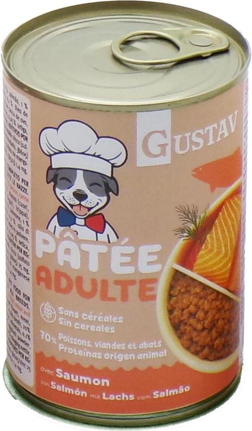 Visuel 1 du produit Pâtée pour chien adulte au saumon sans céréales complète Bubimex Gustav - 400 g