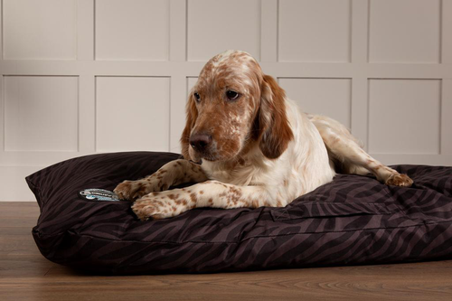 Visuel 7 du produit Coussin imperméable à mémoire de forme pour chien Expédition Scruffs - Taille L