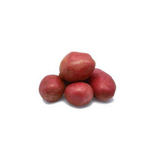 Visuel 1 du produit Pomme de terre Alouette bio + Pomme de terre Maïwen bio semences à planter - Le filet de 2,5 kg