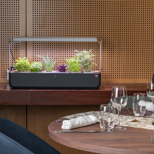 Visuel 6 du produit Potager coloris graphite Gourmet Indoor Véritable avec 6 lingots fournis - 1 étage