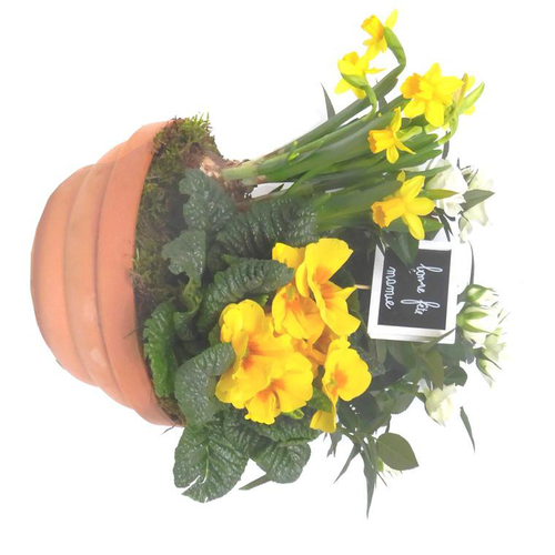 Visuel 1 du produit Coupe pour extérieur - La coupe