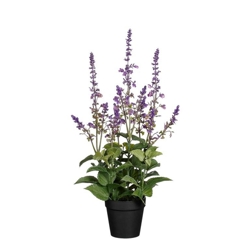 Visuel 1 du produit Sauge artificielle violette en pot - Ø 20 x H 43 cm