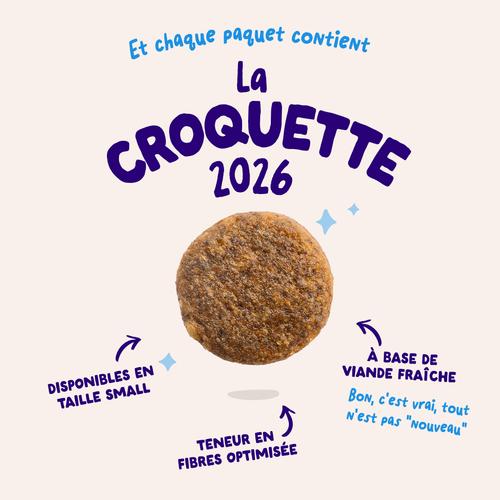 Visuel 3 du produit Croquettes pour chien adulte au saumon sans céréales Edgard & Cooper - 2,5 kg