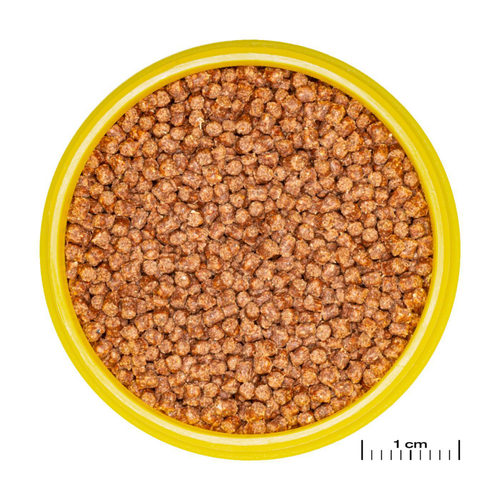 Visuel 3 du produit Aliment en granulés JBL Pronovo fantail grano S – 100 ml