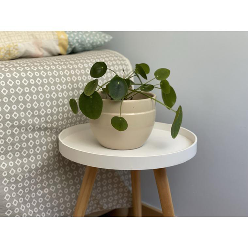 Visuel 1 du produit Pot coloris beige en terre émaillée Austral - Ø 16 cm