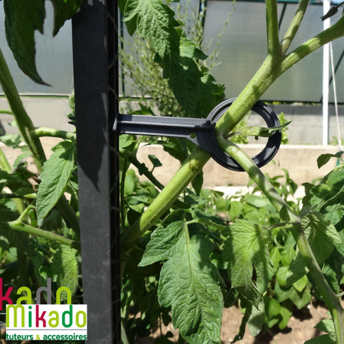 Visuel 4 du produit Tuteur à tomate avec 4 attaches coloris gris  - 180 cm