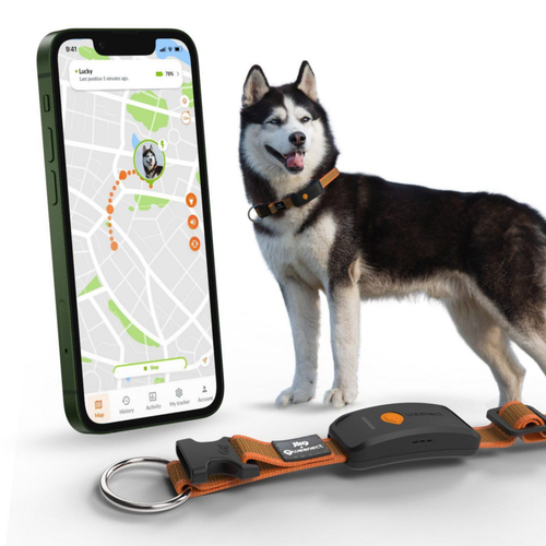 Visuel 2 du produit Collier GPS pour chien coloris orange Weenect XT