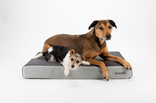 Visuel 8 du produit Couchage orthopédique pour chien coloris gris Scruffs ArmourDillo Orthopaedic - Taille XL 116 x 75 x 15 cm