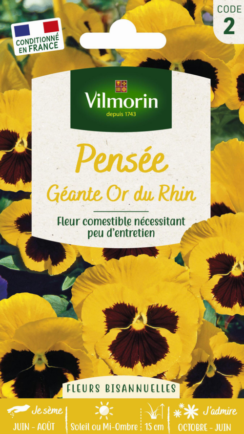 Visuel 1 du produit Pensée Géante Or du Rhin Vilmorin - graines à semer