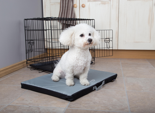 Visuel 5 du produit Tapis imperméable pour chien gris Expédition Scruffs – Taille M
