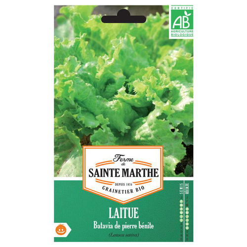 Visuel 1 du produit Graines de Laitue Batavia de pierre bénite bio Ferme de Sainte Marthe - 500 graines à semer