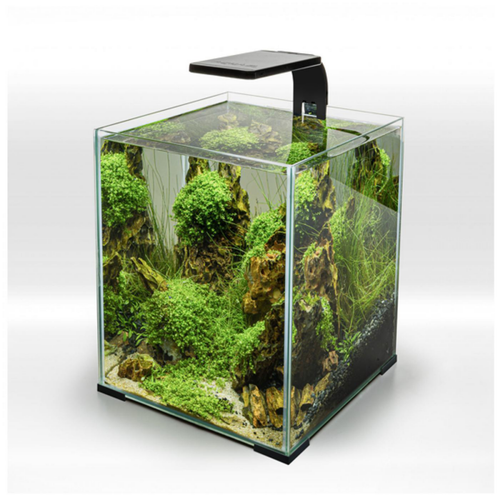 Visuel 3 du produit Rampe LED 4,8W pour aquarium d'eau douce noir - AQUAEL LEDDY Smart 2 Sunny Day & Night 2.0