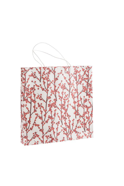 Visuel 1 du produit Sac cadeau baies coloris multicolore - 30,5 x 25 x 10 cm