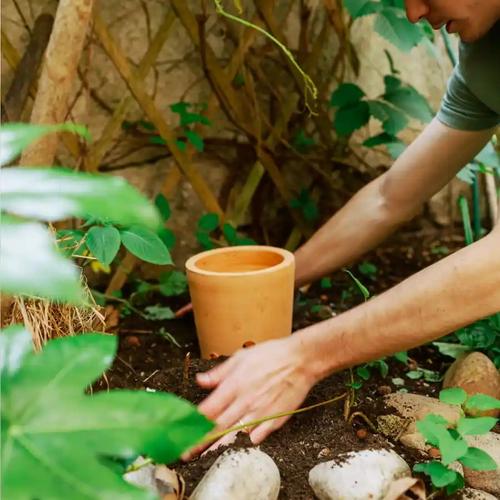Visuel 4 du produit Composteur à planter Terracotta Ceercle - Ø 15 cm x H 35 cm - 4 L