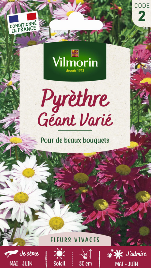 Visuel 1 du produit Graines de Pyrèthre géant varié Vilmorin - graines à semer