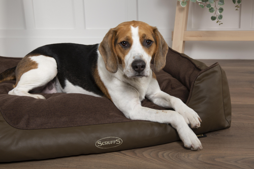 Visuel 4 du produit Corbeille à mémoire de forme pour chien et chat Hilton Scruffs – Taille S