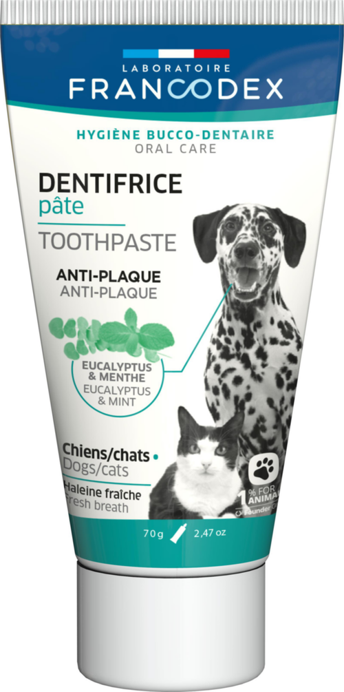 Visuel 1 du produit Dentifrice pour chien et chat en pâte eucalyptus et menthe anti-plaque Francodex - 70 g