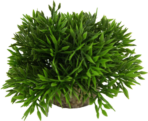 Visuel 1 du produit Plante artificielle pour aqua-terrarium coloris vert LABEO Bambou