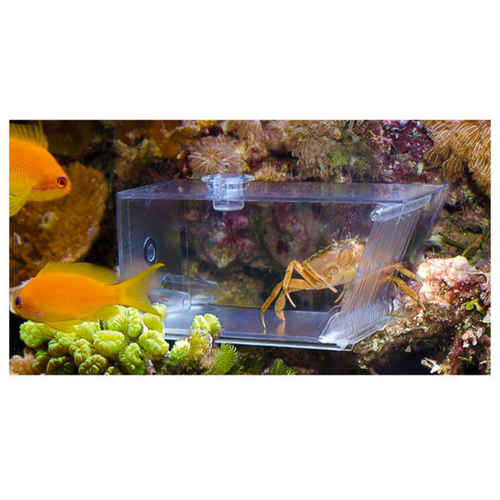 Visuel 2 du produit Piège à escargots, AQUA MEDIC Trap-Pest