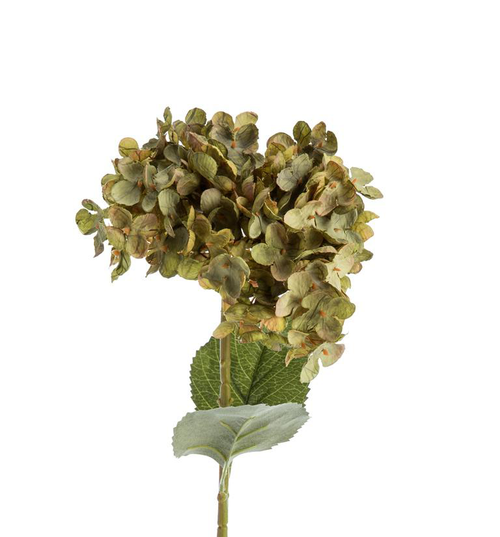 Visuel 1 du produit Fleur artificielle en papier hortensia coloris vert - H 65 cm