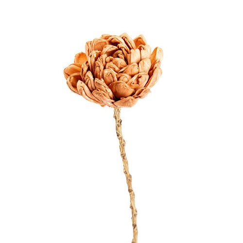 Visuel 1 du produit Fleur en bois de Sola et coco forme Dalhia - Ø 8 x H 50 cm