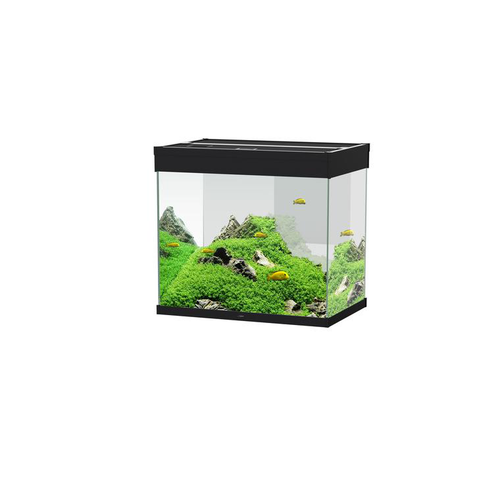 Visuel 1 du produit Aquarium tout équipé noir, 108L, CIANO Emotions Pro 60 - compact et élégant