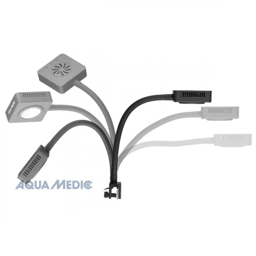 Visuel 5 du produit Spot LED aquarium d'eau douce, spécial plantes - AQUA MEDIC Qube 30 - 30L