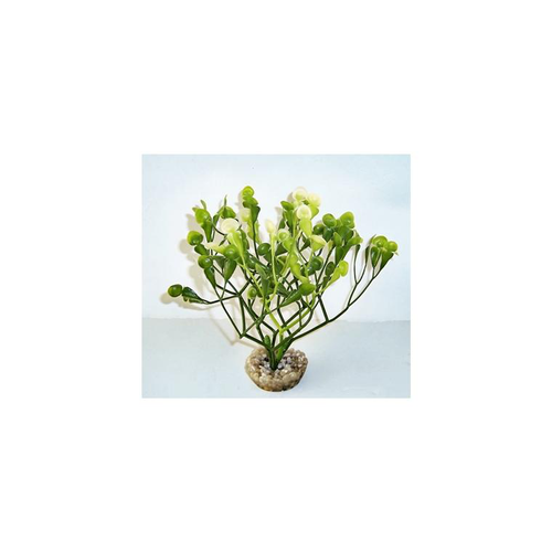 Visuel 1 du produit Fucus vert en plastique 15 cm