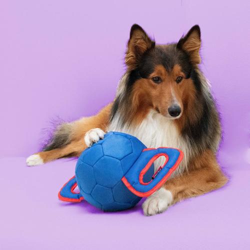 Visuel 2 du produit Jouet pour chien coloris multicolore à tirer Coockoo Power Pully - Taille M 35 x 17 x 17 cm