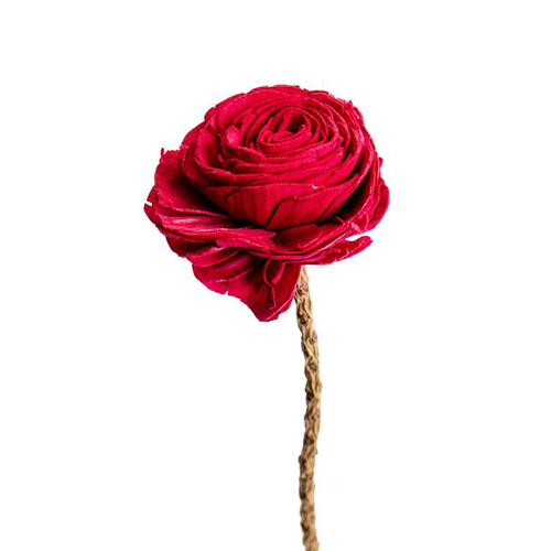 Visuel 3 du produit Fleur en bois de Sola et coco forme Rose - Ø 8 x H 52 cm
