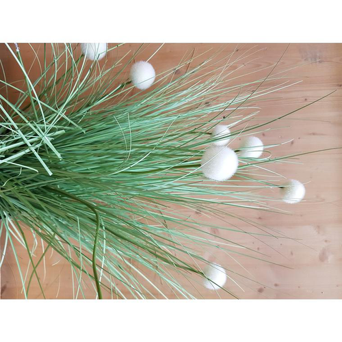 Visuel 1 du produit Graminée artificielle 39 pompons Ø 27,5 x H 105 cm