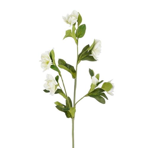 Visuel 1 du produit Tige artificielle d’hellébore en polyester crème - 80 cm