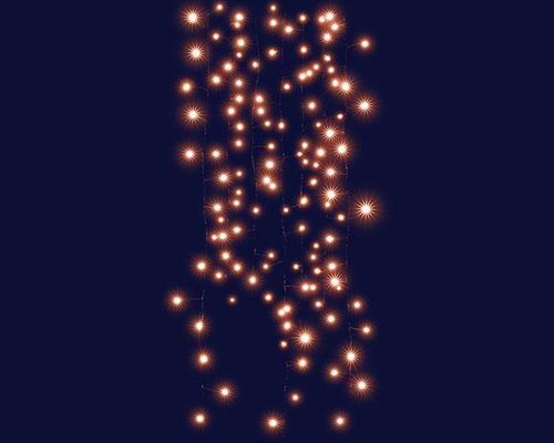 Visuel 1 du produit Rideau lumineux forme grappe à 320 micro-LED cuivre sur câble noir intérieur/extérieur - 2 x 2 m