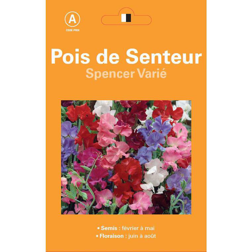 Visuel 1 du produit Graines de Pois de senteur Spencer varié - graines à semer